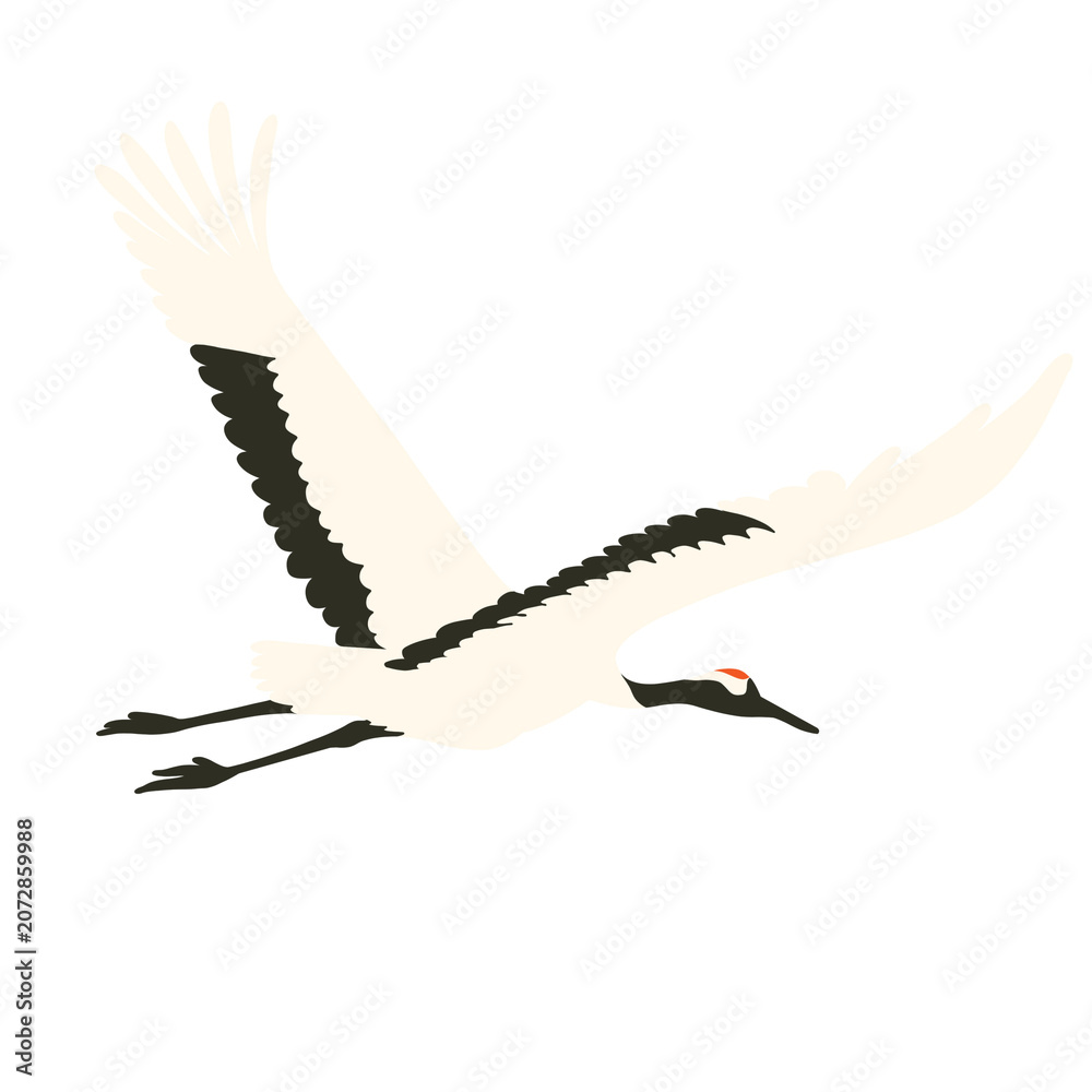 Obraz premium Asian crane illustration, png, hand drawn