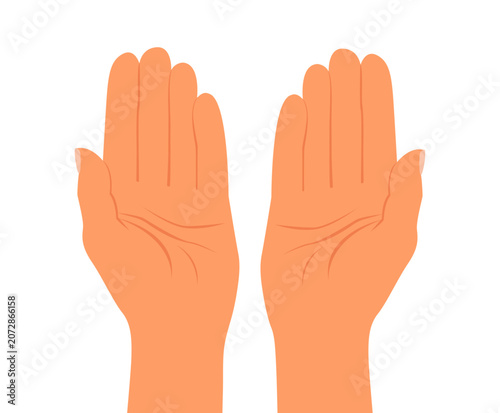 Two empty hands clasped together, palms up, top view. Flat style vector illustration isolated on a white background. Human hands holding something, praying.