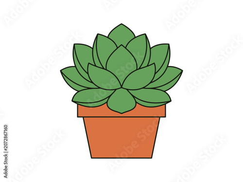Green succulent plant growing in a terracotta pot illustration