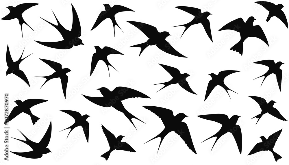 Fototapeta premium vector silhouettes of birds