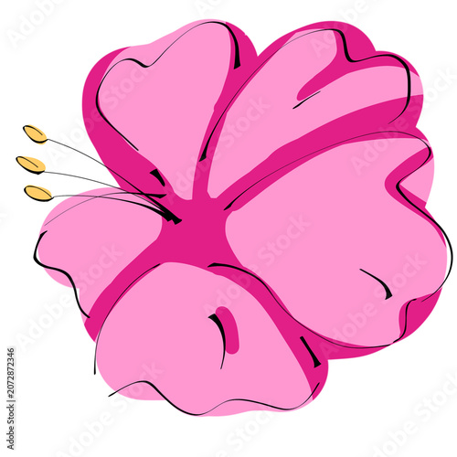 Cute pink hibiscus flower illustration for summer