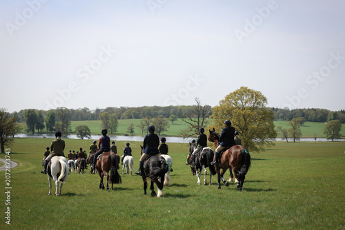 horse and rider on the field