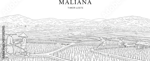 Tableau sur toile Line art illustration of farmers working in terraced rice paddies in Maliana Tim