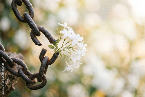Rusty chain wrapped around a tree branch with white blossoms breaking through for symbolic nature resilience and hope background and banner design