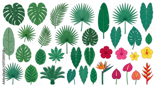 Zestaw ręcznie rysowanych tropikalnych liści i egzotycznych kwiatów, w tym monstery, palmy i hibiskusy, wyizolowanych na białym tle, idealnych do projektów graficznych i dekoracji.