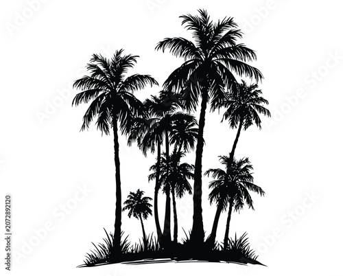 Palm vector silhouette illustration of tropical beach trees