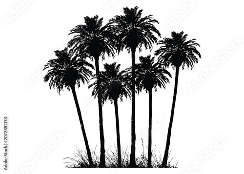Palm vector silhouette design group of island tropical trees