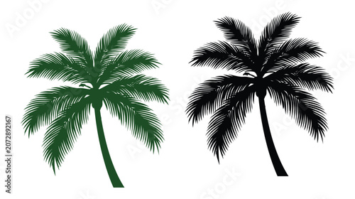 Palm vector illustration set featuring green and black tree