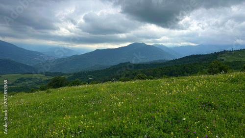 Panoramic Green Mountain Valley with Wildflowers and Distant Blue Peaks