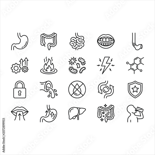 Set of digestive system line icons, stomach, intestine, liver, oral health, metabolism, and nutrition