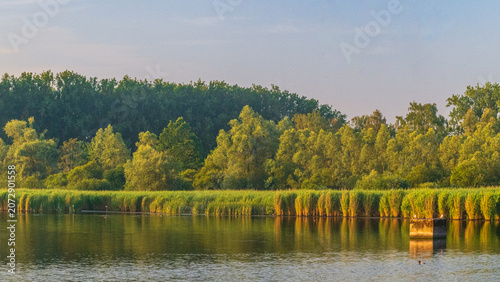 Golden Reflections Across Harchies Wetlands
