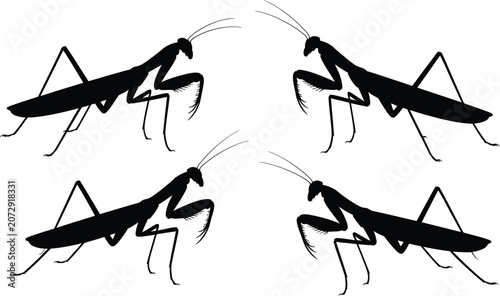 Quadro su tela Set of praying mantis insect silhouettes with silhouette wildlife entomology pre