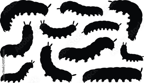 Konstfotografi Caterpillar silhouette collection of various species with caterpillar silhouette