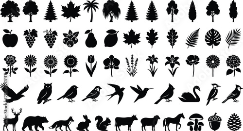 Photography Black and white of various animals and birds in profile view silhouettes