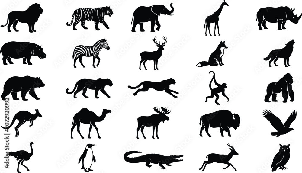 Fototapeta premium Black and white of various animals including mammals, birds, and reptiles