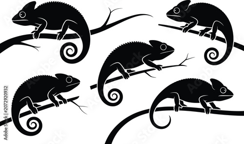 Foto Five chameleon silhouette graphics on branches with chameleon silhouette wildlif