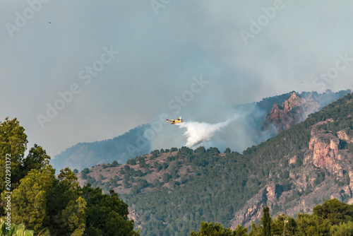 Cuadro en lienzo Fire at the El Valle and Carrascoy Regional Park in Murcia, Spain, with a water