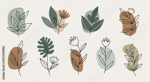 Boho Botanical Line Art Elements: Abstract Floral & Organic Shapes