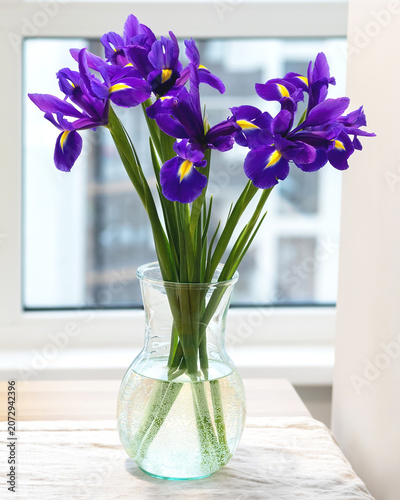 Purple iris flowers in glass vase on table near window
