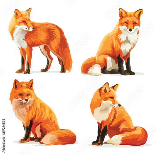 set of funny fox vectors
