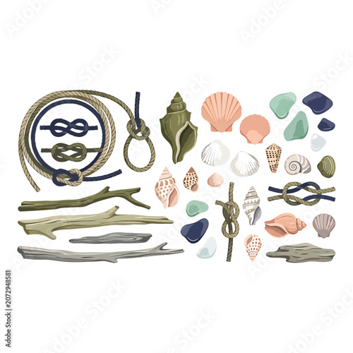 Photos Seashells and nautical rope collection.