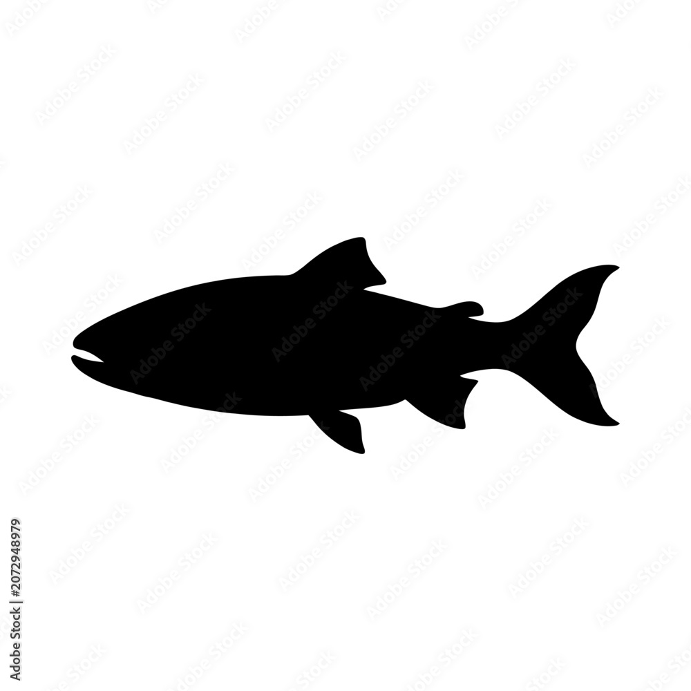 Obraz premium Black fish silhouette, fish icon, seafood symbol, aquatic animal isolated on White Background silhouette