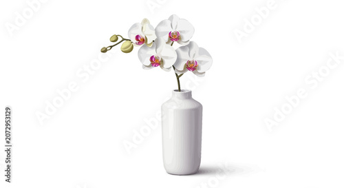 White Orchid in Minimalist Textured Ceramic Vase