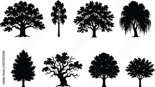 Tree Silhouette Collection with Oak Maple Willow Pine and Deciduous Forest Trees