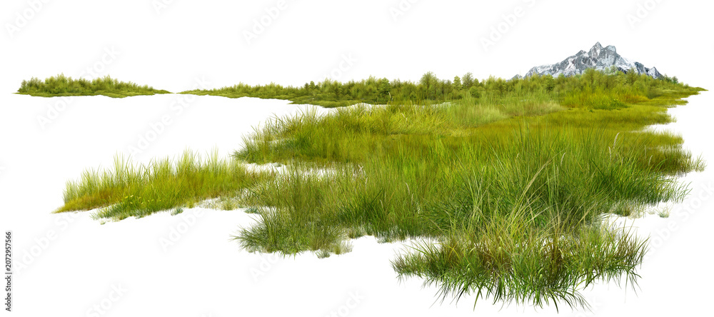 Fototapeta premium green grass on white background/Ultra-sharp, high-resolution landscape element featuring detailed green grass tufts, wild shrubs, and a distant mountain peak isolated on a white background.