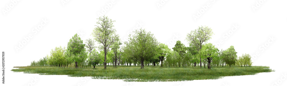 Fototapeta premium green grass isolated on white/Ultra-sharp panoramic forest landscape with lush green trees and grassy meadow isolated on a white background. Ideal for nature, environmental, landscaping