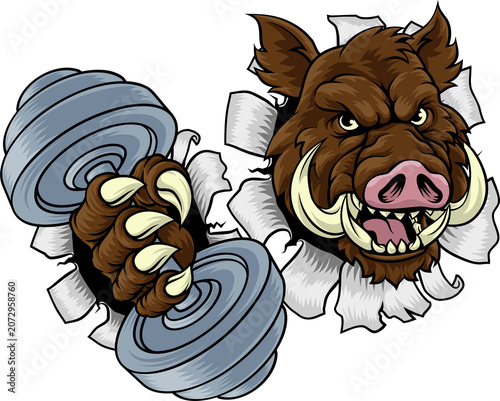 A wild boar, hog razorback ...