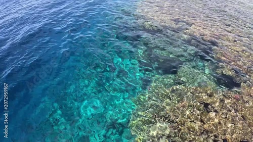Clear blue water reveals a vibrant coral reef beneath the surface, showcasing marine life and underwater textures.