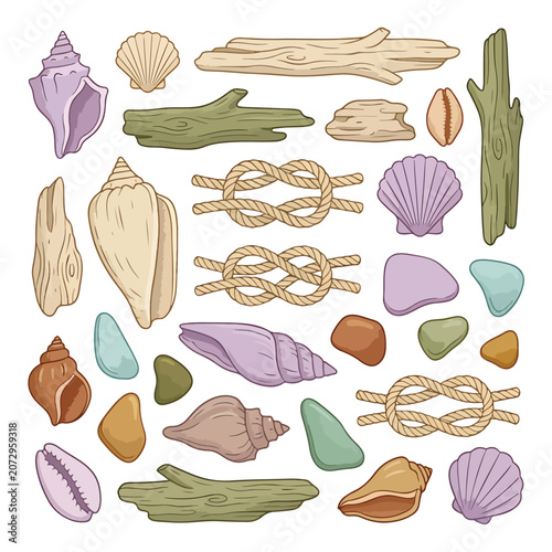 Colorful seashells and ocean objects collection.