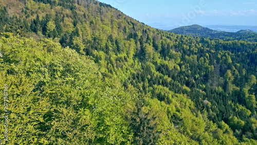 Foto In this breathtaking aerial view, the dense forest unfolds, showcasing a vibrant tapestry of greenery that stretches across rolling hills