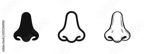 Bild auf Leinwand Human Nose Icon Set in Solid, Outline, and Hand-Drawn Styles, Symbolizing Smell and Anatomy