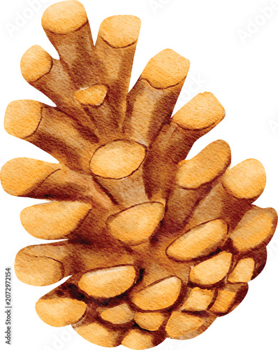 Watercolor Autumn Pinecone Conifer Seed Illustration