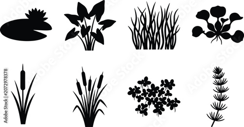 Tableau sur toile Aquatic plants and pond weeds black silhouette collection featuring water lily cattail reeds duckweed and hornwort in image_235f1c