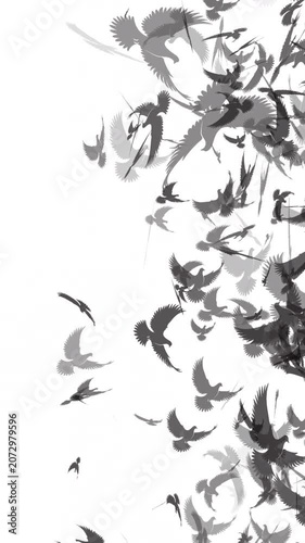 Birds flying in the opposite direction – White background