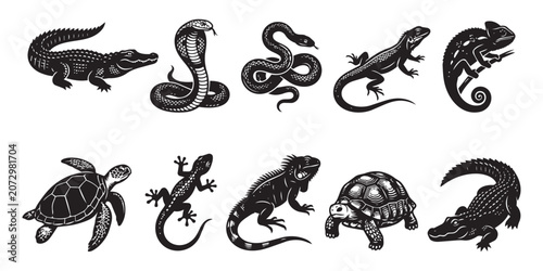 Canvastavla Collection of diverse reptile and amphibian illustrations in black and white wit