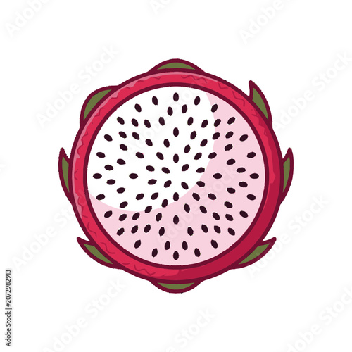 Dragon Fruit Slice Top View, Exotic Tropical Fruit, Healthy Food Illustration