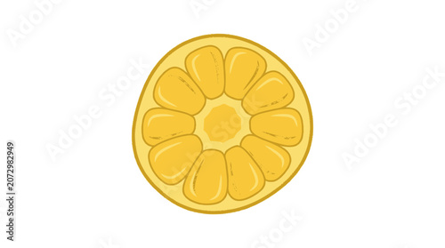 Yellow Citrus Fruit Slice Illustration on White Background
