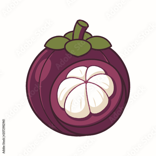 Whole Mangosteen Fruit Cut Open Showing White Segments