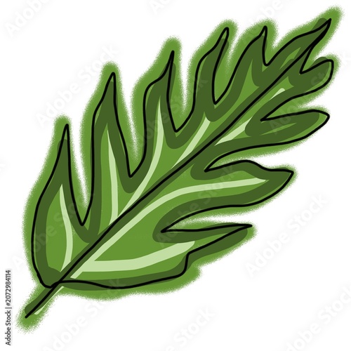 Obraz na plátne Elongated single green leaf with serrated edges vector illustration