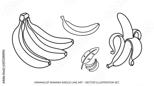 Minimalist banana single line art vector illustration set on white
