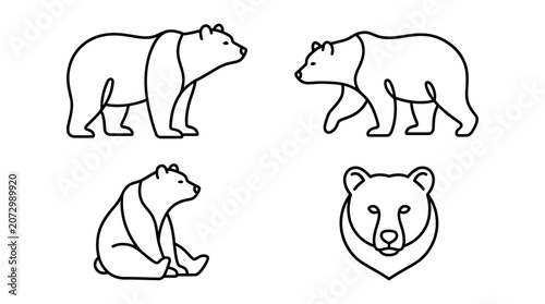 A line art illustration features four bear poses in a single composition
