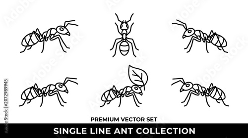 A single line art illustration depicts six ants in various poses.