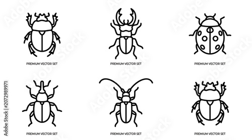 A set of six line art illustrations depicting different beetle species in various poses.