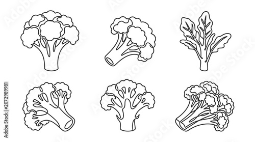 A line art illustration of broccoli florets and leaves in various views