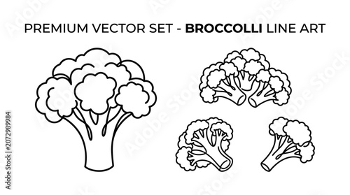 A set of broccoli line art illustrations in various views and angles