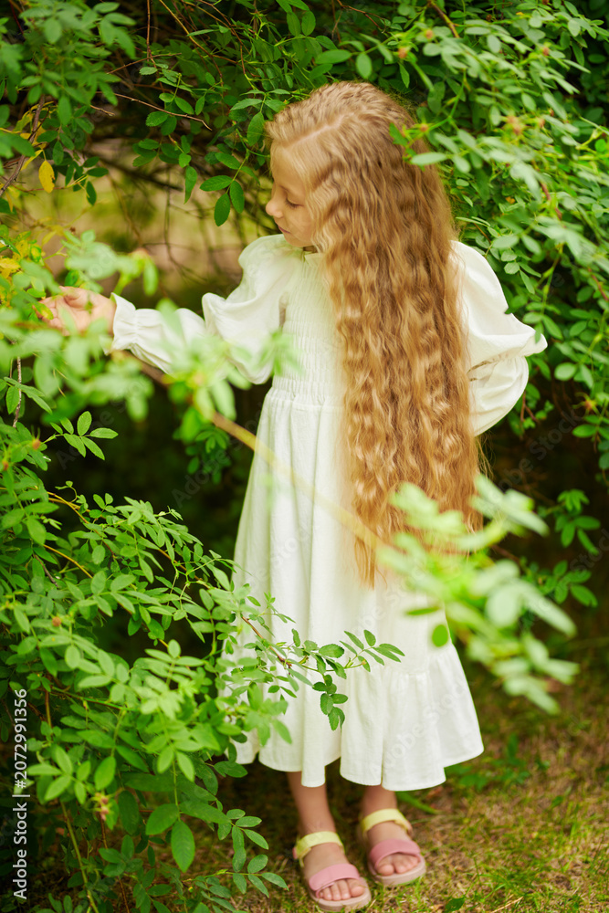 Naklejka premium Woodland Angel Dream
